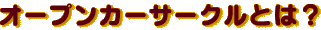 I[vJ[T[NƂ́H
